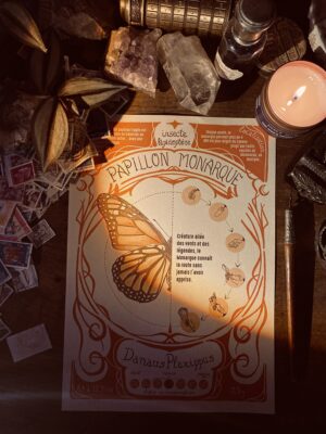 Photo d’un poster vintage représentant un papillon monarque, ambiance sombre et lumineuse – Minocha Letters