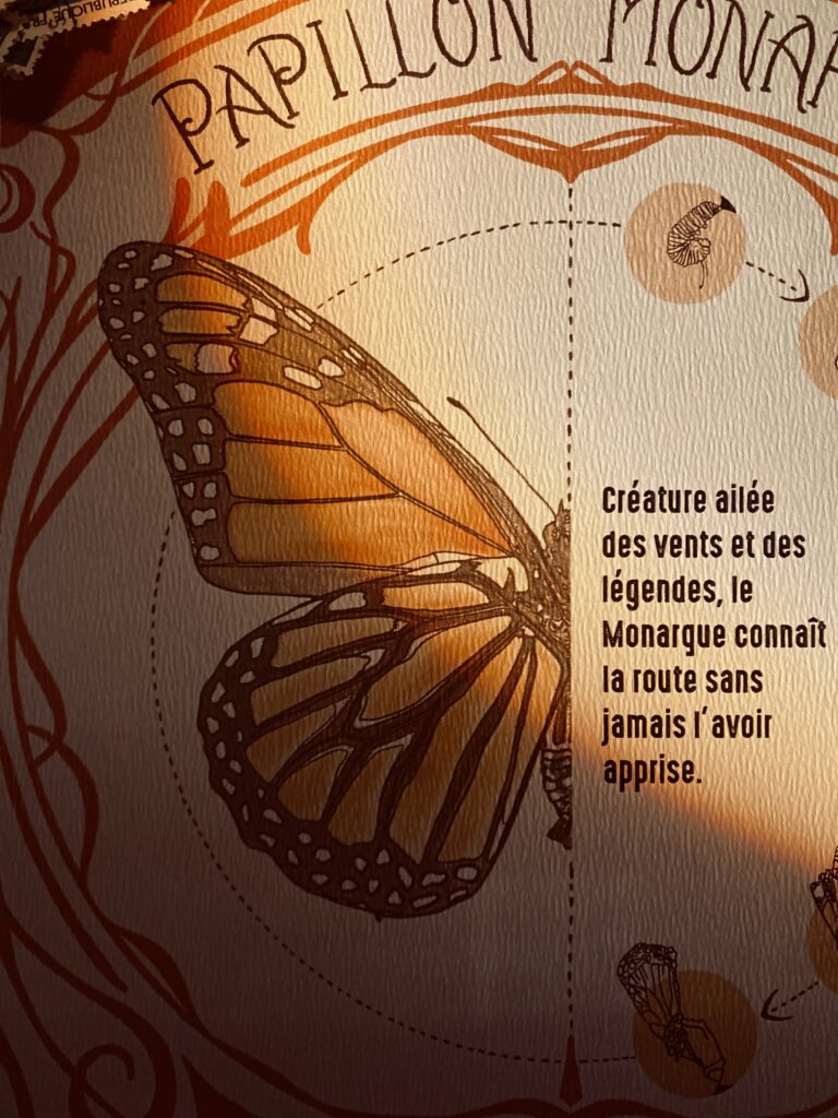Zoom sur le poster du papillon monarque, détail des ailes et textures vintage – Minocha Letters