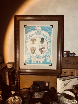 TIRAGE D'ILLUSTRATION - CORAIL - A3