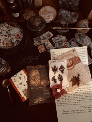 Lettre de l’Archiviste – Édition de Novembre- quantité limitée