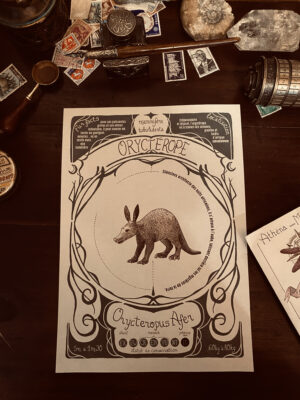 TIRAGE D'ILLUSTRATION - ORYCTEROPE - A3