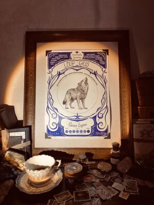 TIRAGE D'ILLUSTRATION - LOUP GRIS - A3