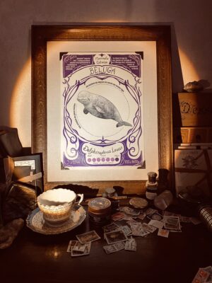 TIRAGE D'ILLUSTRATION - BELUGA - A3